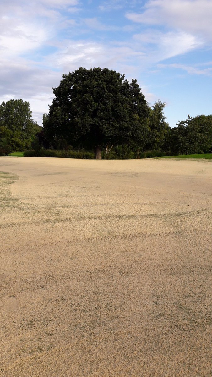 StewartCarbray's tweet photo. Greens maintenance going well, plus the sunshine making an appearance, nice dry sand going down the holes..perfect 👌 https://t.co/Un8rzNxPMt