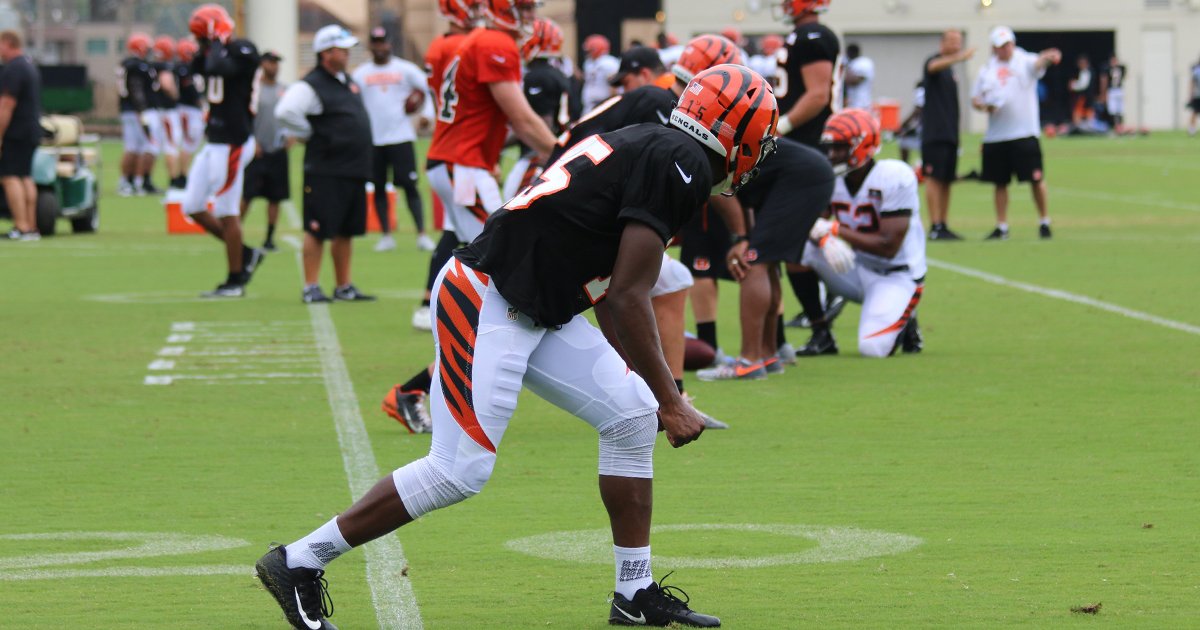 For the first time as a pro, WR John Ross lined up against the defense.  📰: go.bengals.com/2wMTxxV https://t.co/EiBvaSvdew