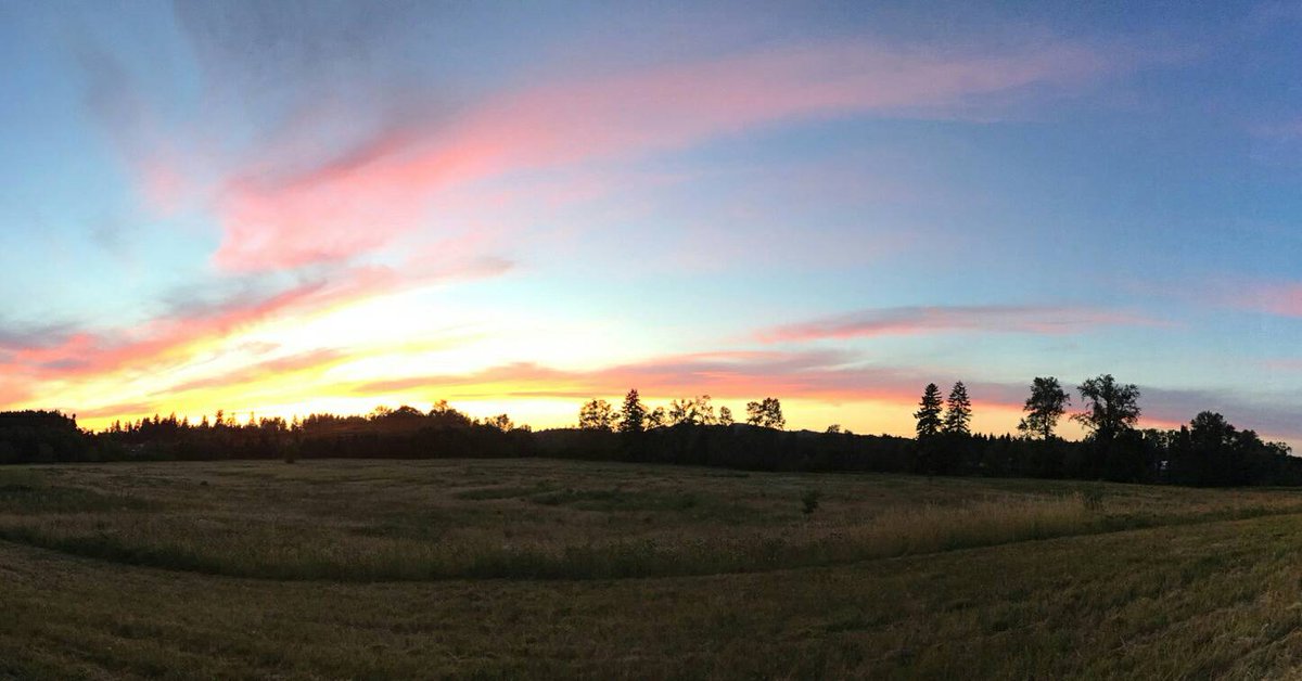 DoublJumpCoffee's tweet photo. The view. 😍 Towards the kingdom of coffee! 
#landscapephotography #coffee https://t.co/lOOv0IAQT4