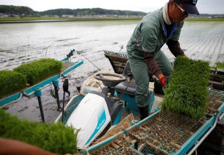 Tech-savvy farmers a new hope for Japan's shrinking agriculture sector hortidaily.com/article/36688/… https://t.co/A4ryxHdDbZ