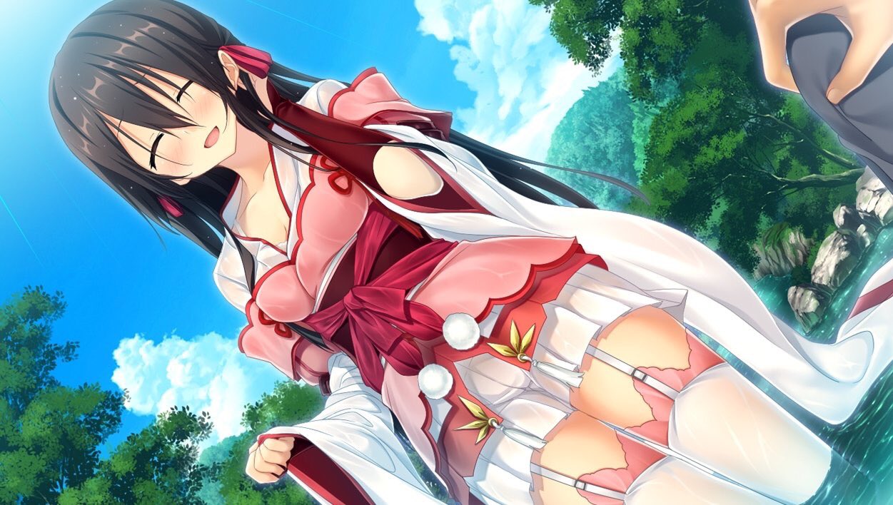 戦国†恋姫　竹中詩乃重治スリーブセット 61u51rBxunL._UF350,350_QL50_.jpg