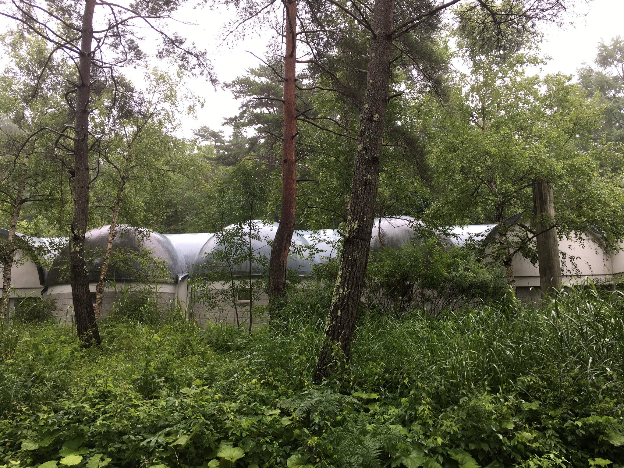 れもん 森の小道からアプローチする 森にある美術館 ドーム天井の円形小部屋 を分節せず連ねた平面構成 小さく包まれ感がありながら大空間でもある 窓から木立の柔らかい光と天幕越しの間接照明がブロンズ彫刻を照らす 光と空間の 濃淡があるので展示室の