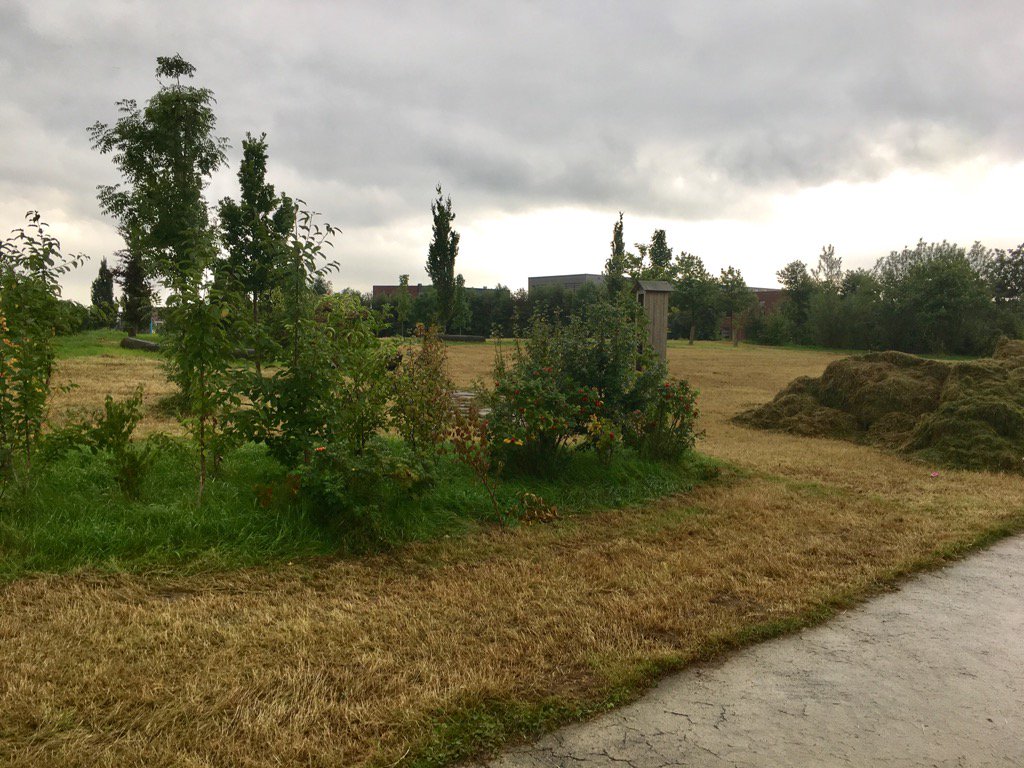 AadElst's tweet photo. Cool Nature #westeraam ligt er na onderhoud weer even gladgeschoren bij https://t.co/J8L2syyWdv
