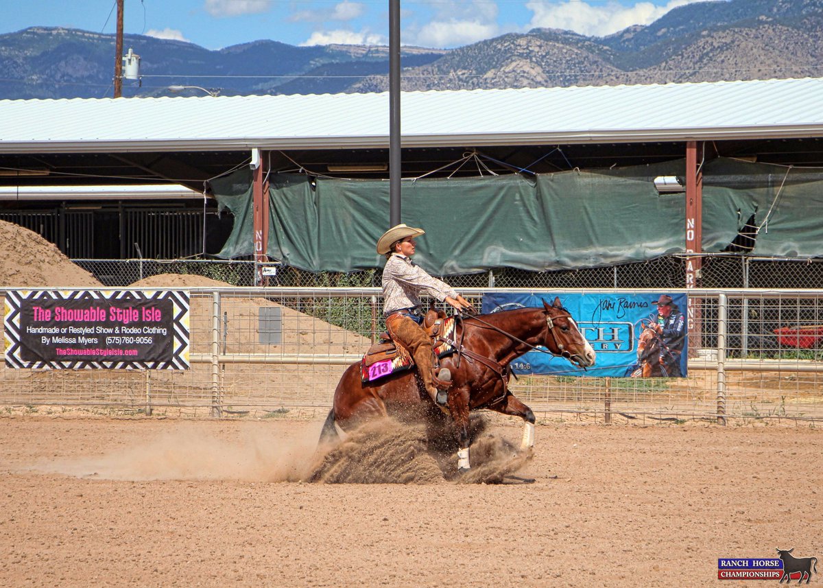 Ranch Horse Champion tweet media
