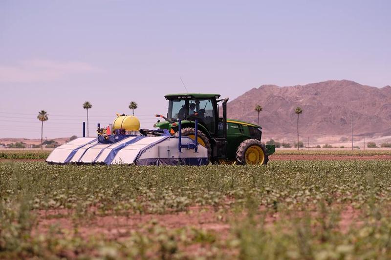 climatedaddy_'s tweet image. Could #Robots Replace Farmworkers In Valley Fields? Silicon Valley Hopes So kvpr.org/post/could-rob…