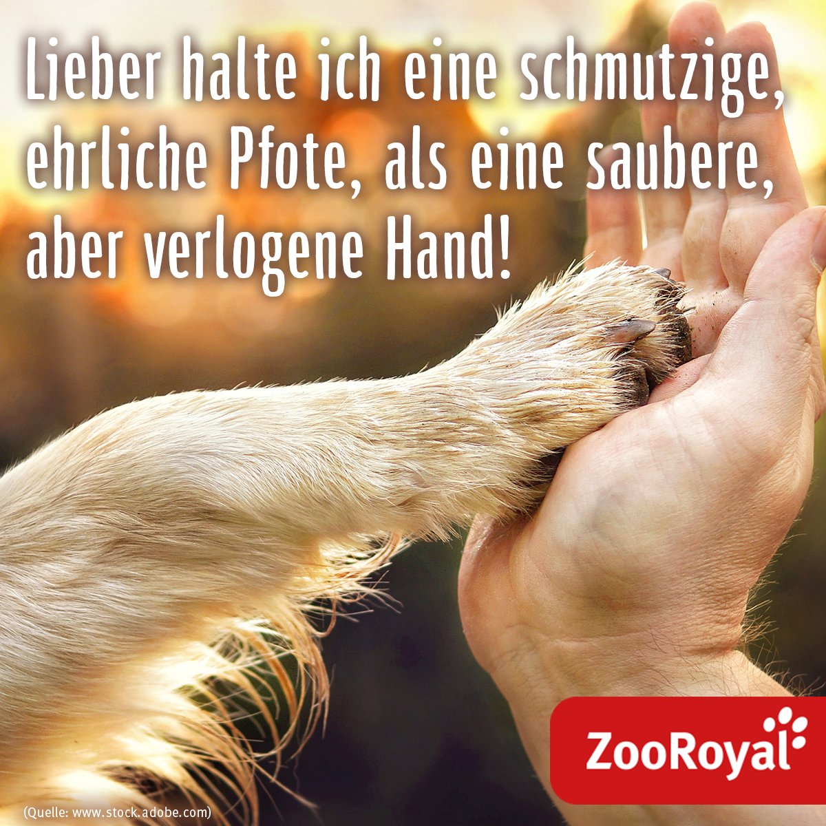 zooroyal's tweet photo. 100% ❤ #Tierliebe https://t.co/E0QUgMaAW0