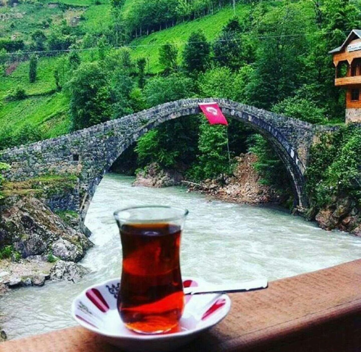 Ahmet Işık (@ahmetik36455908) on Twitter photo 