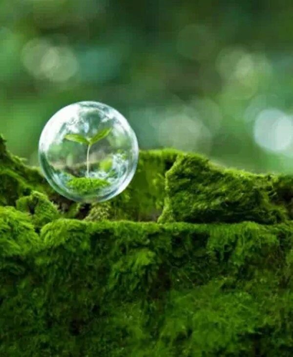 Ahmet Işık (@ahmetik36455908) on Twitter photo 