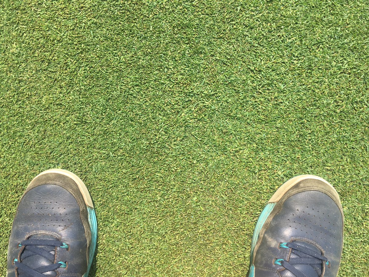 RS_turf's tweet photo. First mow on the @Jrothturf 's nursery @ 0.200. Looks great. #willowsrun https://t.co/FntEQ8oeQH