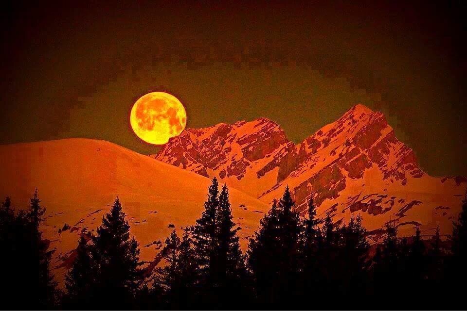 Ahmet Işık (@ahmetik36455908) on Twitter photo 