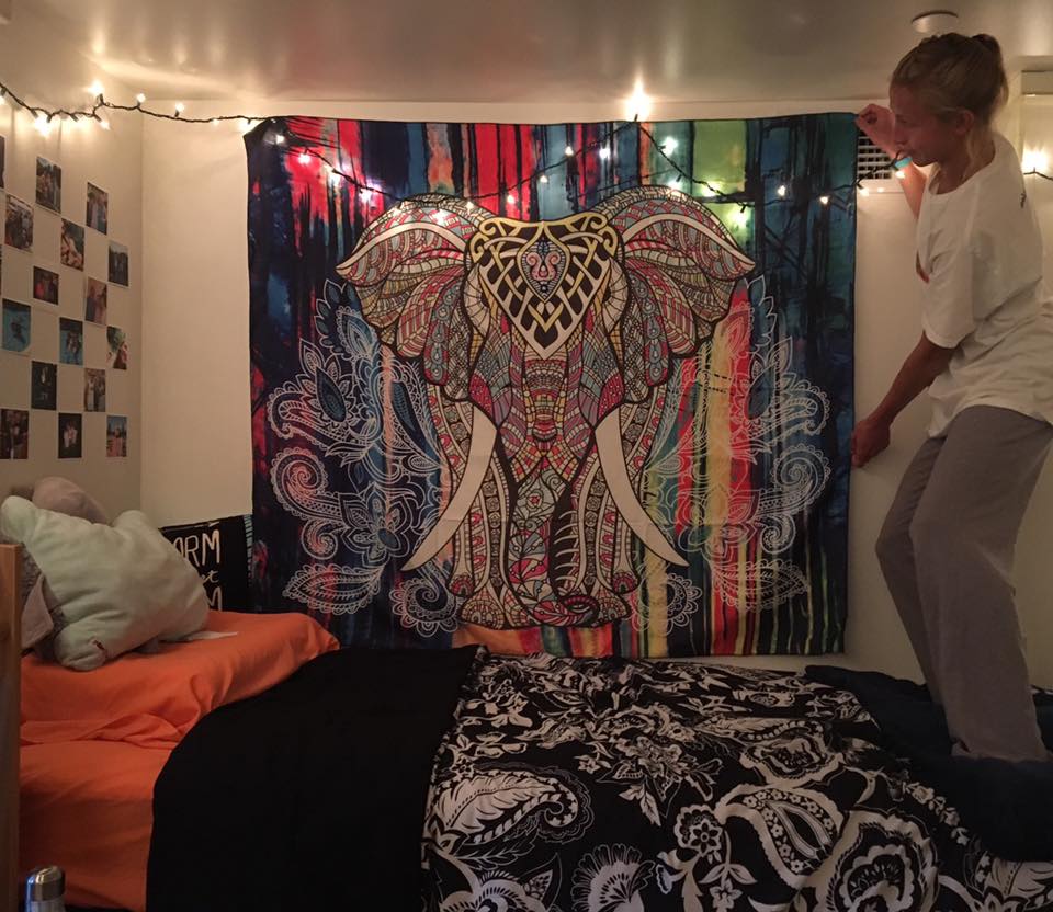 thecollegecheck's tweet photo. Shoutout to one of our first happy customers, thanks for sending in this pic! #tapestry #collegelife #dormlife https://t.co/f3hgi4uhz5 https://t.co/s2c0wvSrWj