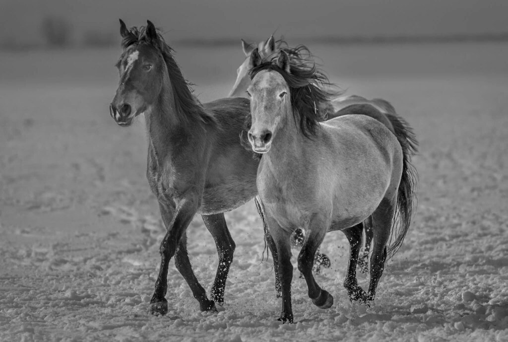 Ahmet Işık (@ahmetik36455908) on Twitter photo 