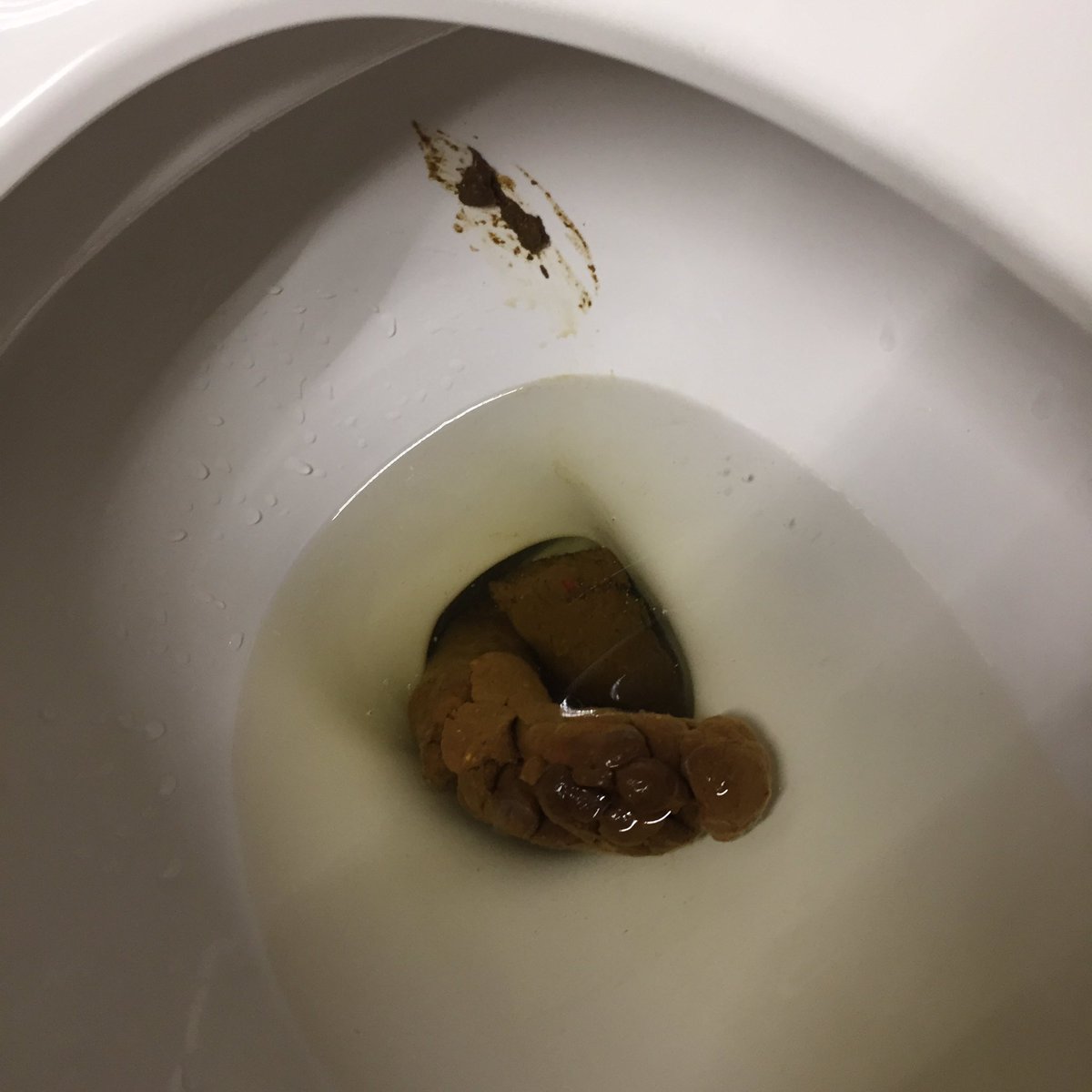 BigShitter's tweet photo. This big guy broke under its own weight before I could get a pic. Original turd tail landed where that huge shit smear is. #pooproblems https://t.co/TQgkE8saSw