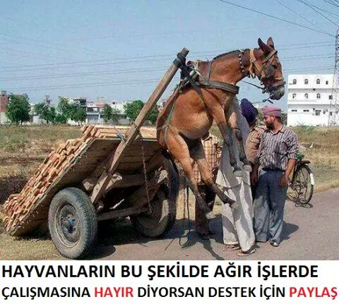 .

           #vicdan 

.