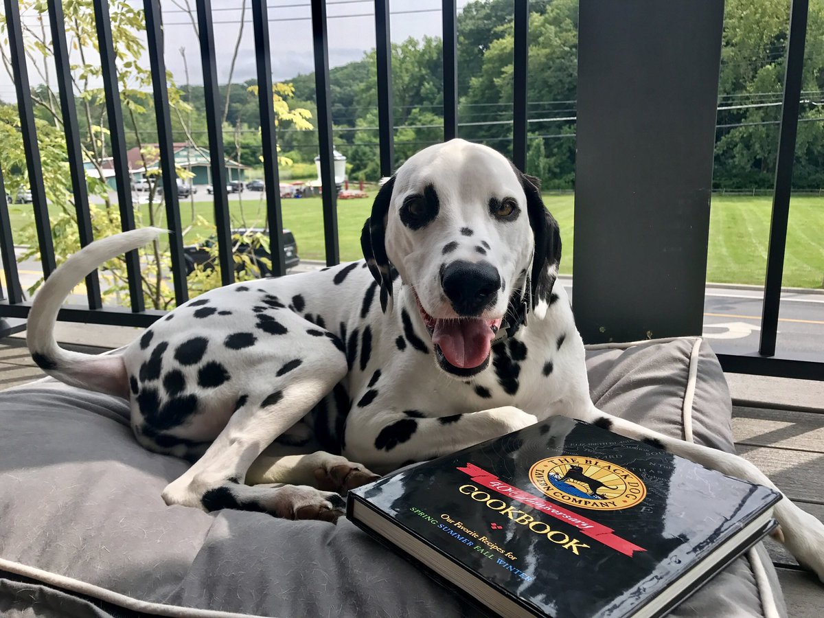 CHEXdotTV's tweet photo. Some light reading. Black Dog Cookbook. Maybe I'll surprise my mom @KathrynCartini w/ dinner...🤔🐼😇😘 https://t.co/vg3PxkbnfO
