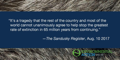 EnviroAction's tweet photo. An urgent call to action for #EndangeredSpecies: https://t.co/GqaAKDzc6P #ESA https://t.co/IowizHY1ol
