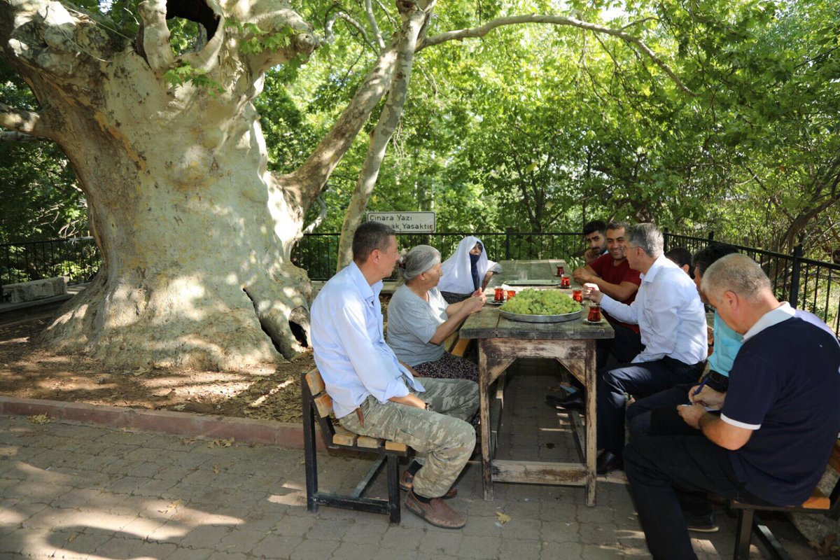 23YANILMAZ's tweet photo. Bizim Elazığ ve  Elaziğ'a  olan sevdamız tıpkı ulu çınarın ömrü gibi... Kökü derinlerde ve mazide, dalları gelecekte ve atide.... https://t.co/oOEpoPsIcW