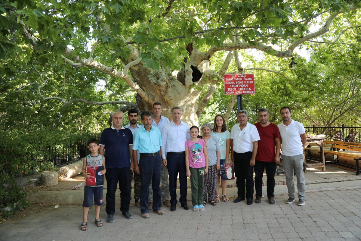23YANILMAZ's tweet photo. Bizim Elazığ ve  Elaziğ'a  olan sevdamız tıpkı ulu çınarın ömrü gibi... Kökü derinlerde ve mazide, dalları gelecekte ve atide.... https://t.co/oOEpoPsIcW