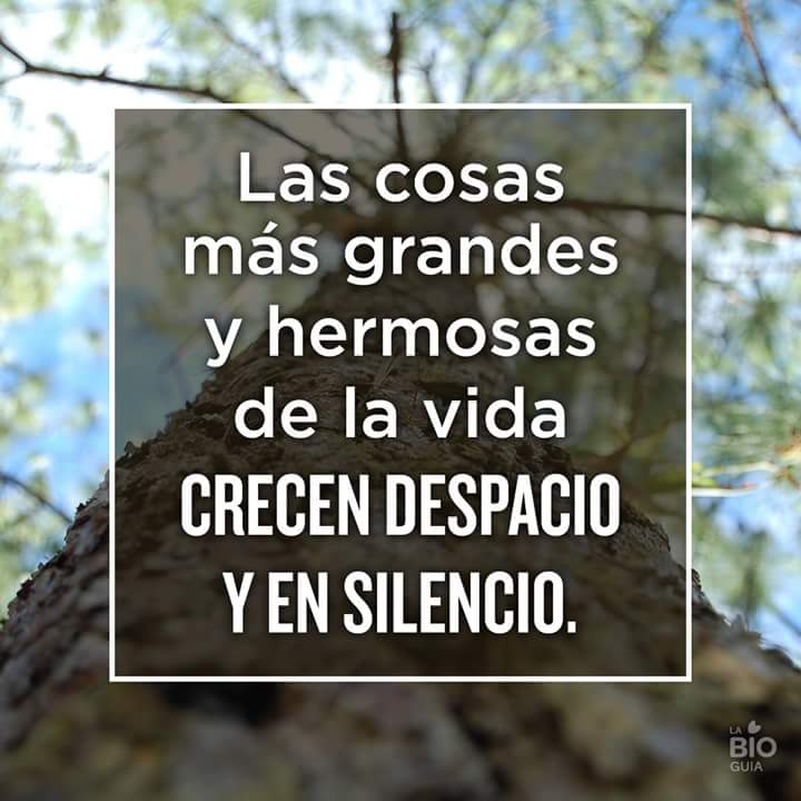 AsdeguiasCaldas's tweet photo. Vistita
Nuestro #nevadodelruiz  #somosgentedevolcanes 
#somosgentedemontaña #pnnn #brisas @AsdeguiasCaldas https://t.co/qPTHZFKDYY https://t.co/D5IP138IVi
