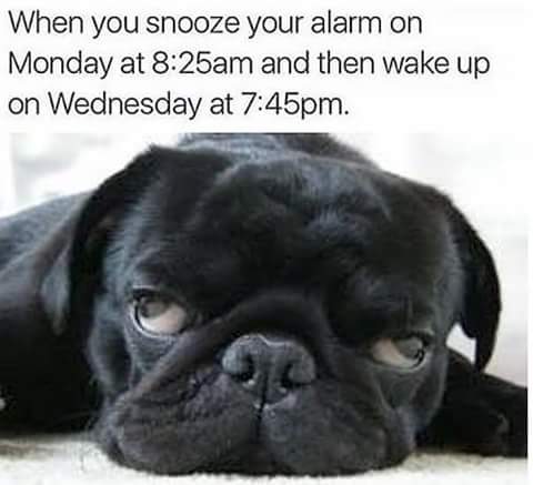 Sooooo me!!!!😁😁😁😁