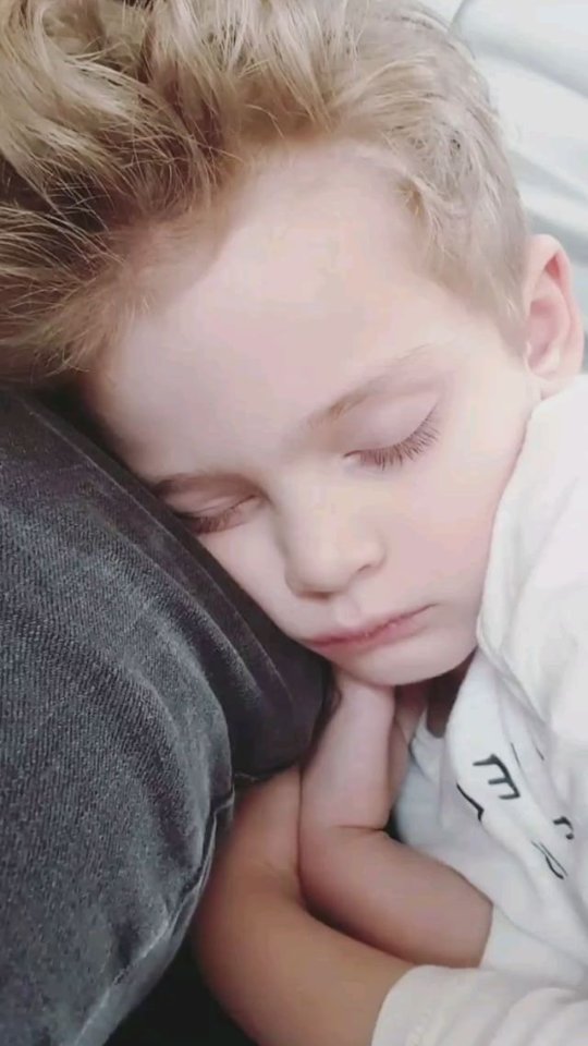 xxiomaraB's tweet photo. Siempre los más hermosos😍 que cositas, como duerme Bennii😍😍❤ #Benii #Pancho #PaulinaGoto #KCAMexico https://t.co/1Hd3XhN1Ql