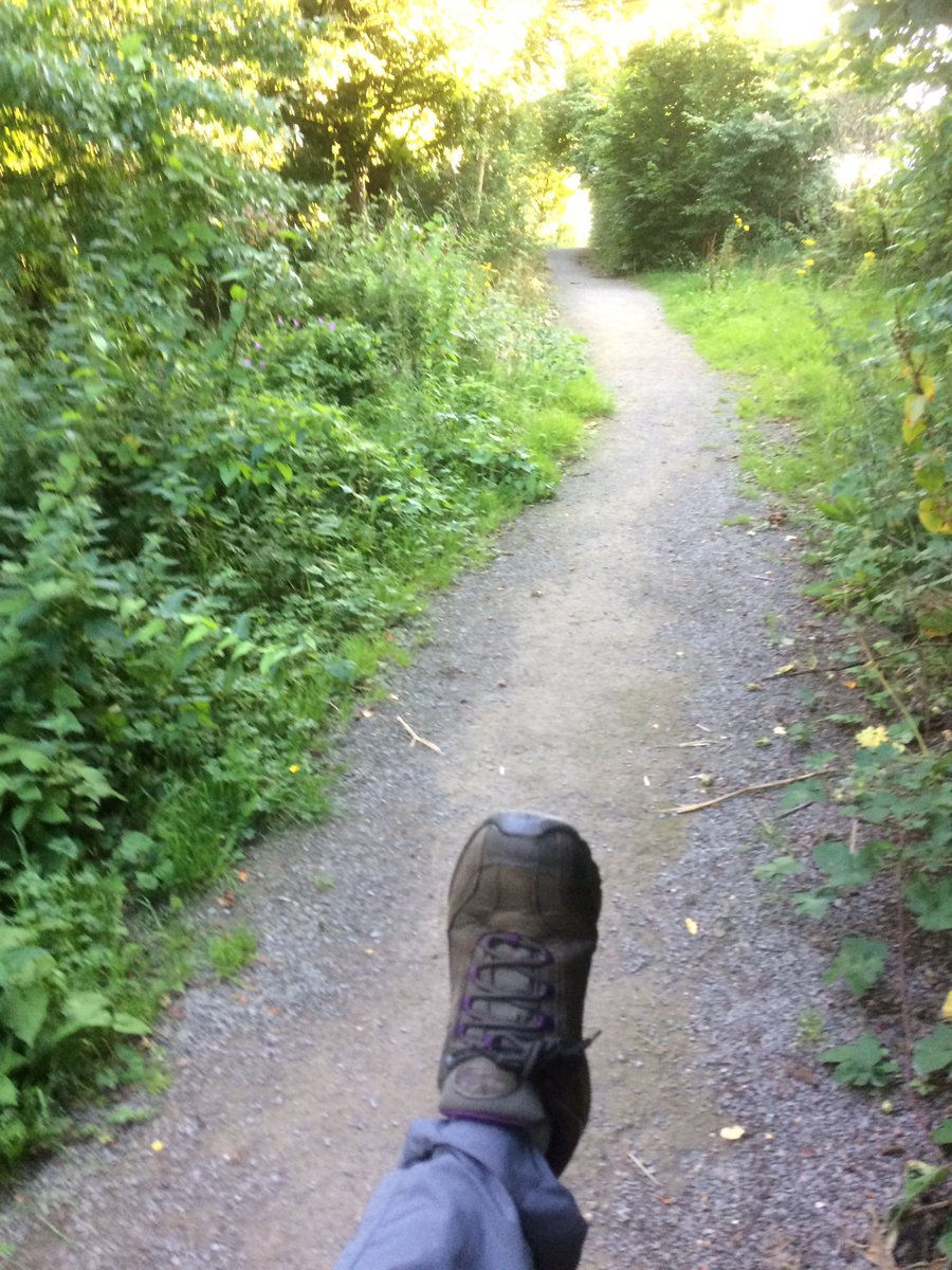 physactjackie's tweet photo. Post work dog walk in the woods. #NursesActive #WeActiveChallenge #activelifestyle @HelenKirkOH @PHE_NorthEast https://t.co/XHkPtclSJ5