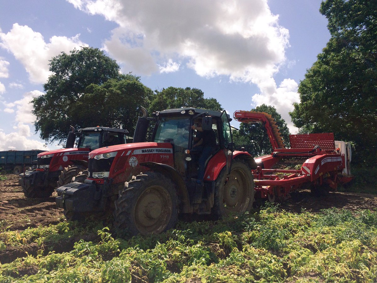 ag_sales's tweet photo. And what a great day it was to set off the pre-loved Grimme GT170S in Hampshire #southdowns #Potatoes @GrimmeUK #quality #wheeldrive #massey https://t.co/XRrRUwOaBT