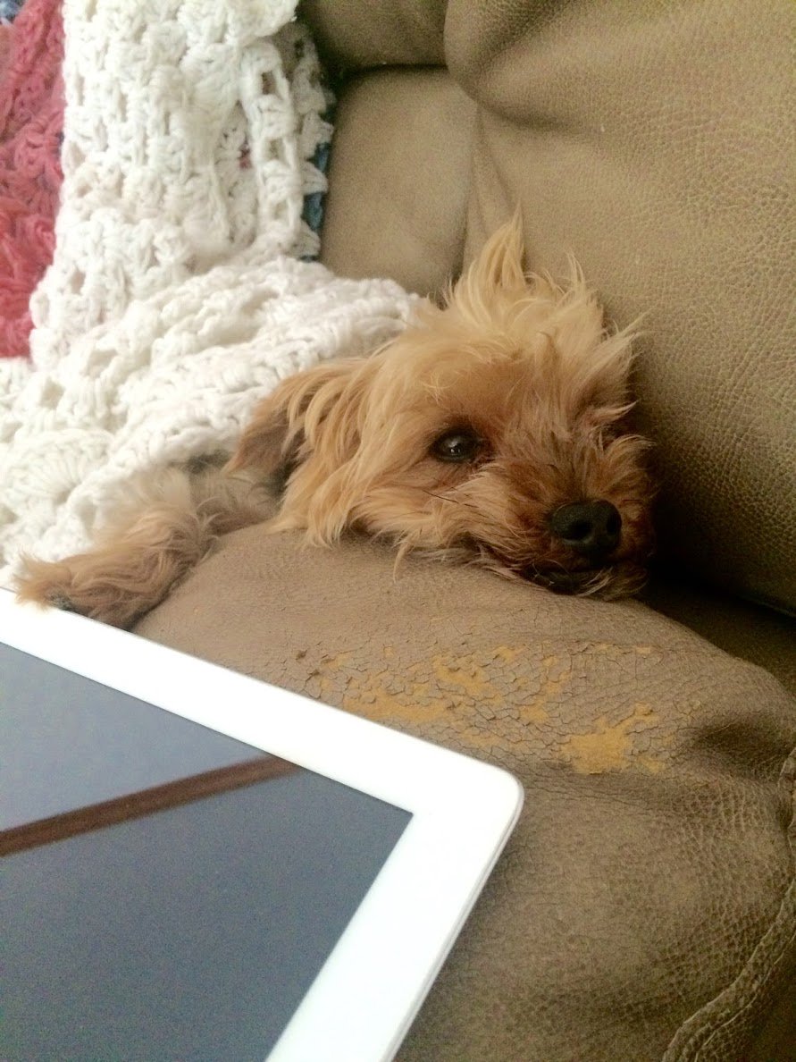 Jenny_Kellner's tweet photo. Happy #nationalrelaxationday #SSWFeelDo https://t.co/TDsZiAAi5n