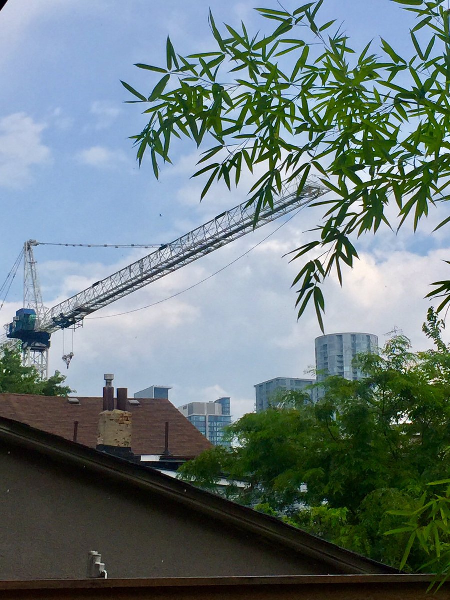 Urban study: bamboo and crane