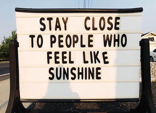 Free People tweet media