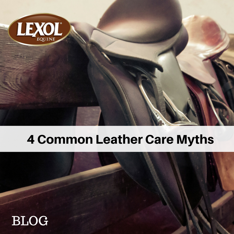 MannaProHorse's tweet photo. 4 common leather care myths: https://t.co/eZUlYhposA
#Lexol #Leathercare #Mythbusters https://t.co/CPeSHkt99N