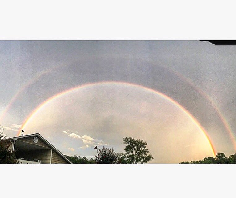 abbymyrex's tweet photo. Double rainbow in Guntersville, AL @spann https://t.co/1SzzBm4Z1M