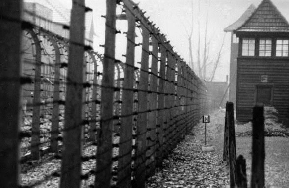 WW3RealTime's tweet photo. Mr. Trump, were there "good people" on both sides of this fence in Auschwitz? https://t.co/aViTaKHlV0