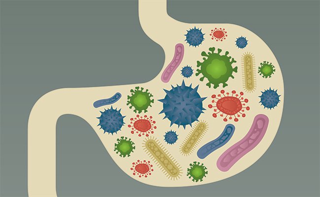 OolongInc's tweet image. 6 Foods Your Gut Wants You To Eat crwd.fr/2v95de8 #learnscreenwriting