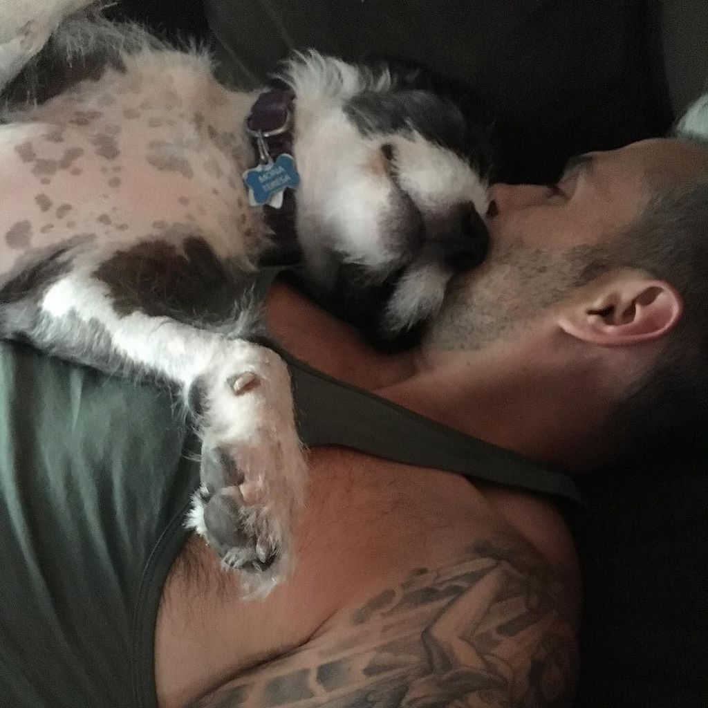 John_Voirol's tweet photo. Man and dog. I love a lazy evening with these two. #thegoodlife #thesetwothough #pittylove #terrier #dogsofinstagr… https://t.co/hYA06yLQVi https://t.co/JSiTFUJPpj