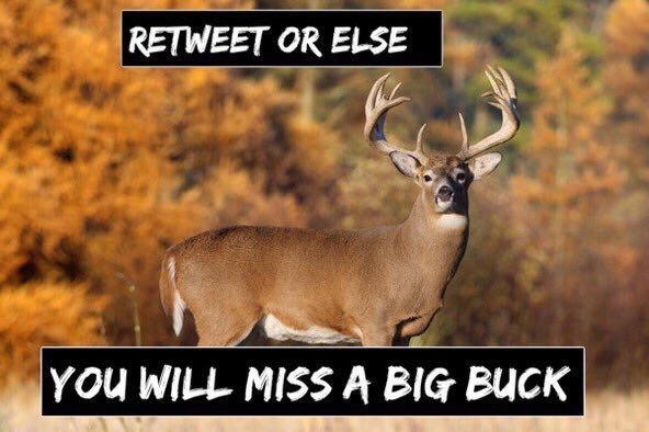 ruggedandreel's tweet photo. Do you really wanna risk it...smash that button https://t.co/UdFHyk1pbk