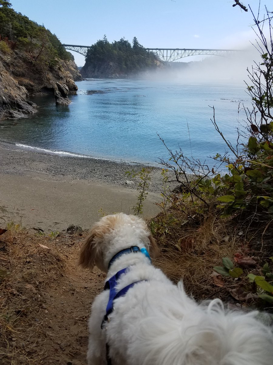 DontTouchTheFur's tweet photo. So much beauty #findthehiddengems https://t.co/lZ5wGlAmnD