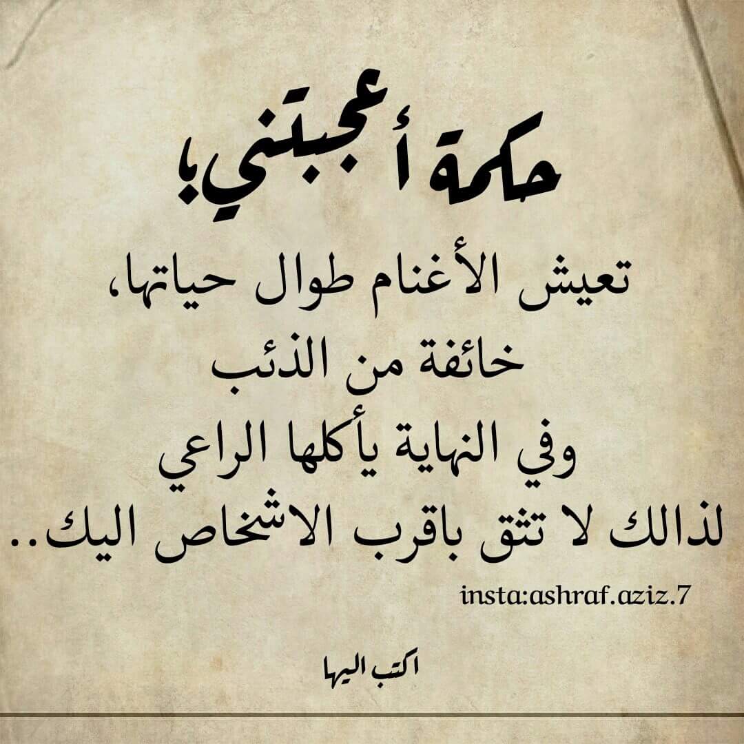 Mohammed.sa (@mohammedsadun85) on Twitter photo 