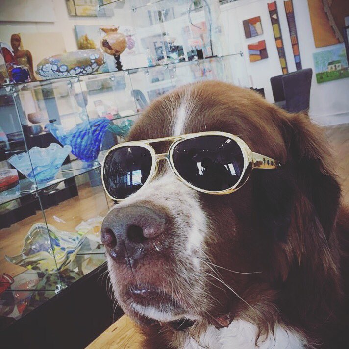 ilovememphis's tweet photo. Argus @TCliftonArt is celebrating #ElvisWeek in style. One of my favorite #dogsofmemphis.
 📸: @broadavearts https://t.co/eDxWyVtLOp