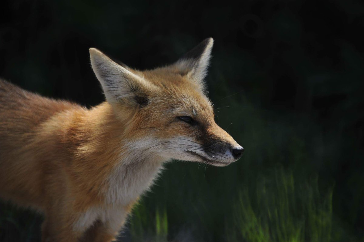 jonwolf1979's tweet image. 