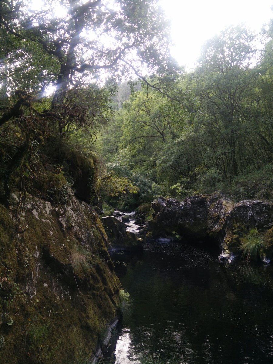 El espectacular cañón del río Mandeo, refugio de uno de los últimos bosques atlánticos de la costa gallega. #BosquesdeGalicia #Galicia