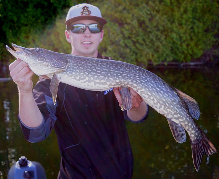 What is the biggest fish you ever caught? How did you land that catch? #PashaLake #PashaLakeCabins #fishing #fish #gonefishing #lakelife