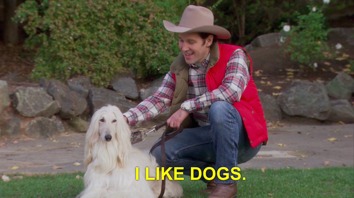 rachmeetsworld's tweet photo. Emergency Paul Rudd petting a dog while wearing a cowboy hat https://t.co/yfVepf72VW