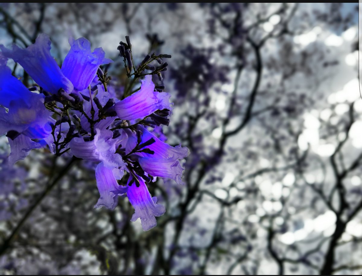 I must say this is one of my favorite shots