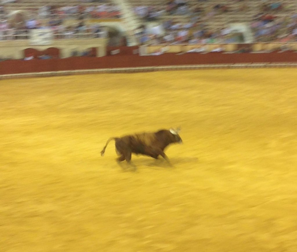5to toro: NONO N37 colorado del 03/13 con 585 kg de la ganadería de BENÍTEZ CUBERO para PÉREZ LANGA #toroselpuerto17