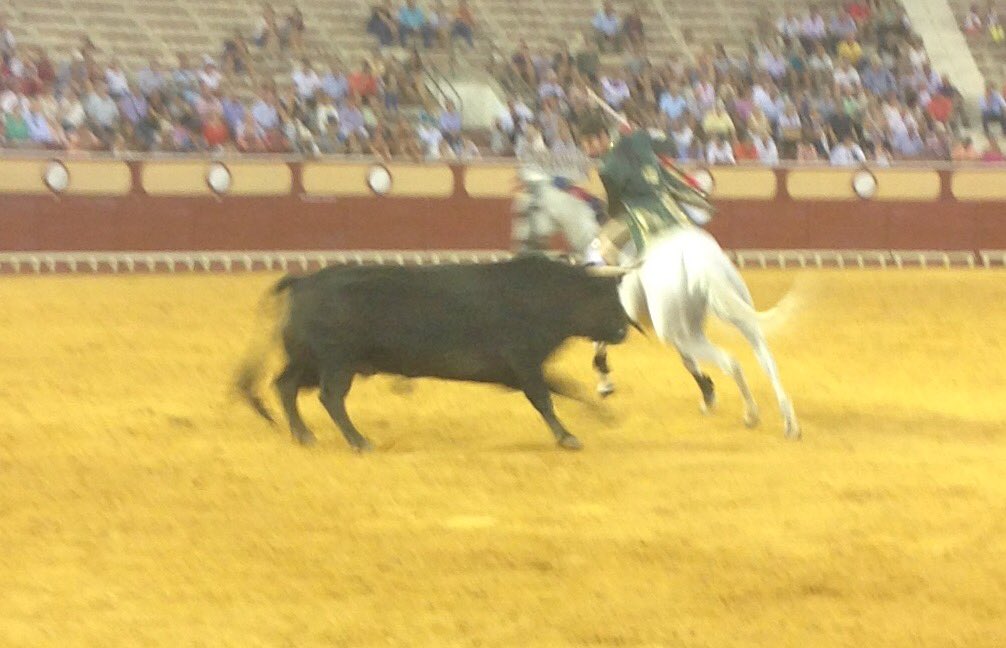 6to toro: JACOBIN N9 negro del 12/12 con 570 kg. De la ganadería de BENÍTEZ CUBERO para MIGUEL MOURA   #toroselpuerto17