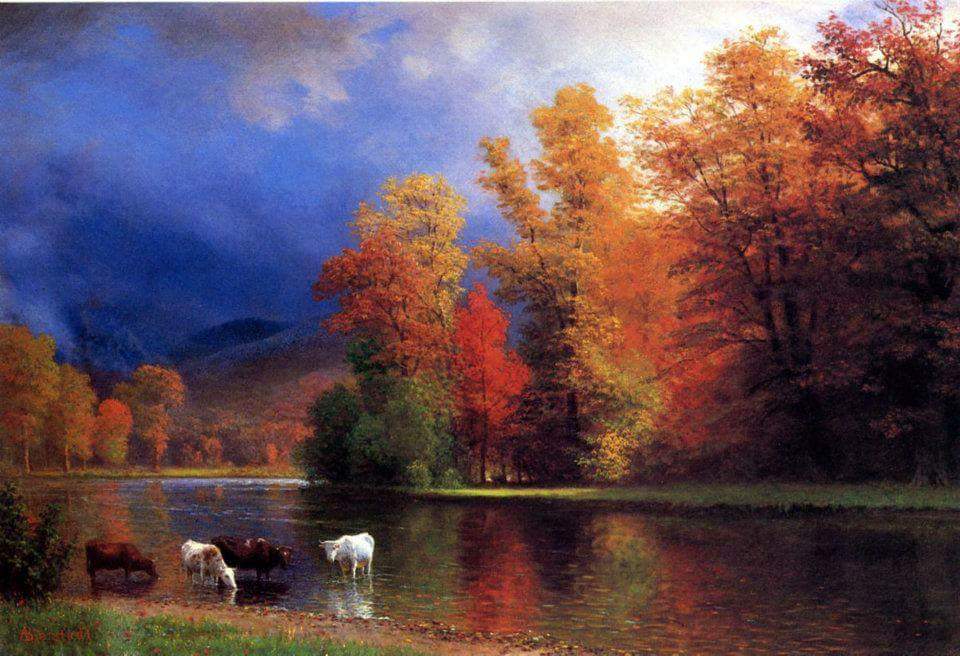 HistOfPainting's tweet photo. 🎨 "Of the Saco" River, Maine.
(River in Maine &amp; New Hampshire, US)

👨‍🎨 Albert Bierstadt (Jan 7, 1830 – Feb 18, 1902) was an American 👨‍🎨 https://t.co/935WH4ZWIG
