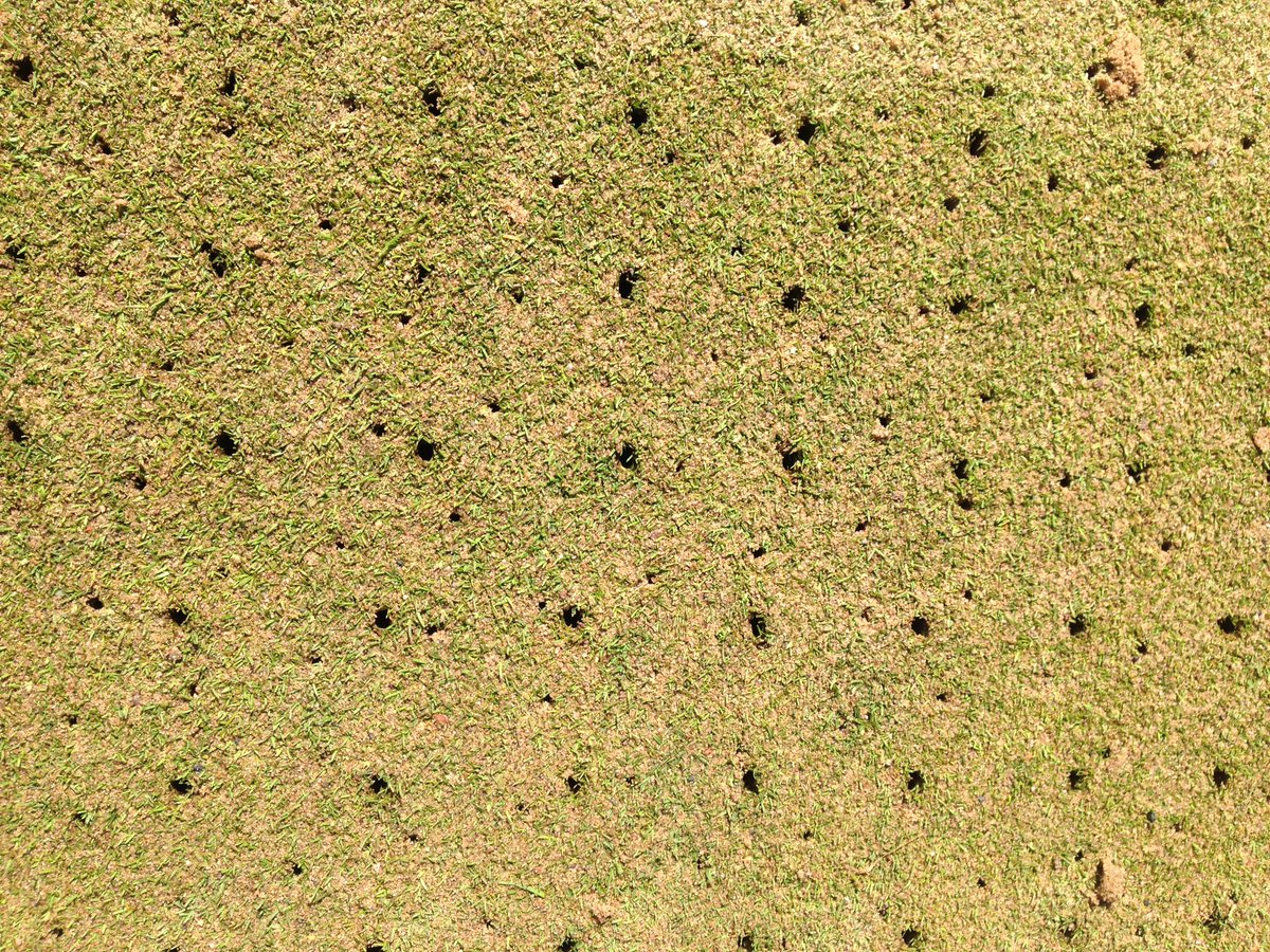 Cracking day over the Centenary for punching sand into the greens Followed by a light roll then another 20 tons tomorrow <a href="/BIGGALtd/">British & International Golf Greenkeepers Assn.</a> <a href="/the_iog/">جوناثان</a>