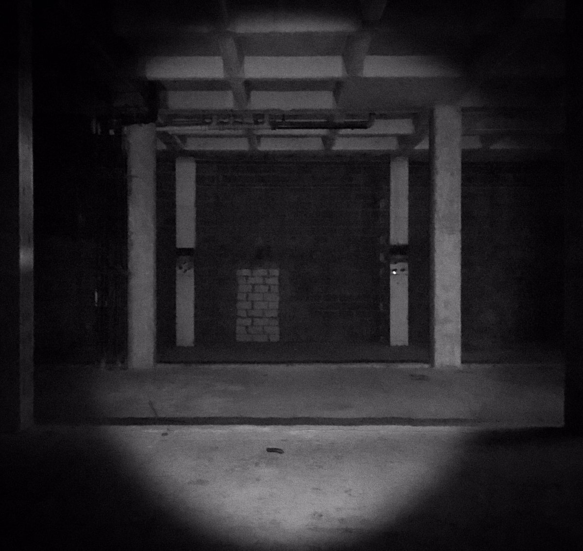 JoelyCook's tweet photo. Site visit by torch light 🔦 #architecture #1of4thisweek https://t.co/epIcTyoQBZ