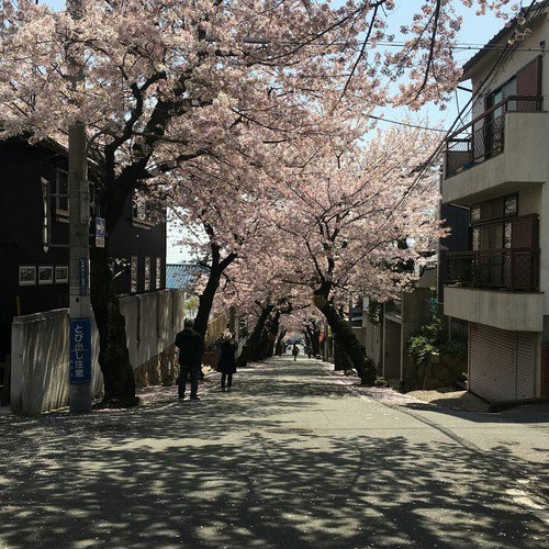 Japan_Vibes's tweet photo. Kobe, Japan https://t.co/QPK7px3HKN